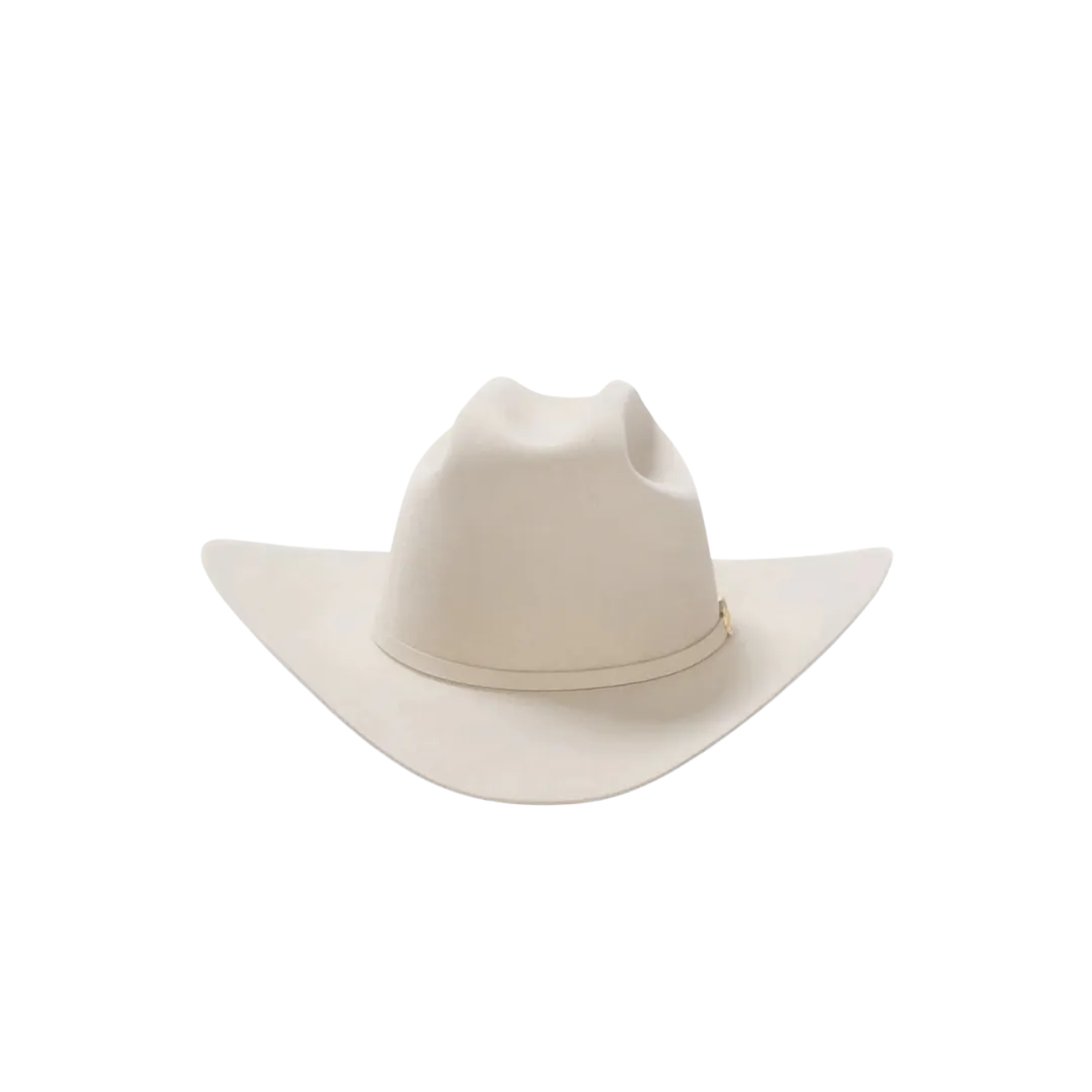 Stetson Men's Diamante Premier Cowboy Silverbelly Hat