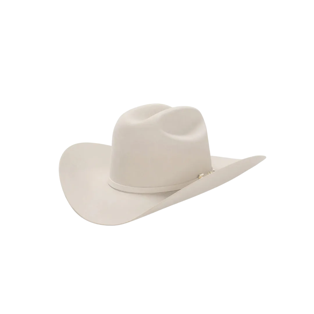 Stetson Men's Diamante Premier Cowboy Silverbelly Hat